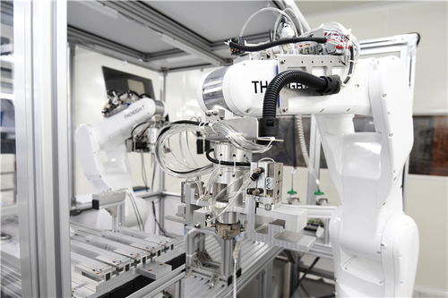 小膠囊沿西部陸海新通道遠航，數字技術賦能重慶企業造福全球